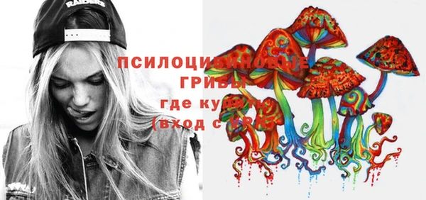 прущие грибы Алексин